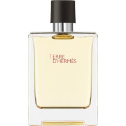 HERMÈS Terre d’Hermès EDT M 100 ml