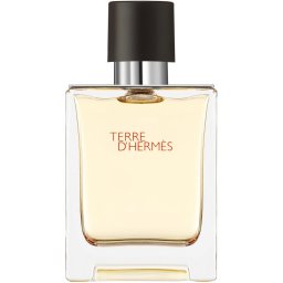 HERMÈS Terre d’Hermès EDT M 50 ml