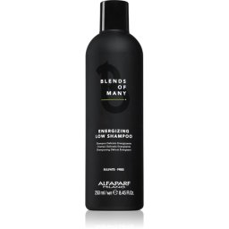 Alfaparf Milano Blends of Many Energizing sampon energizant pentru par fin 250 ml