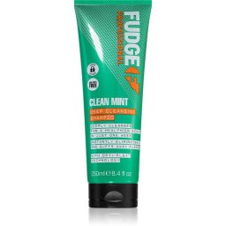 Fudge Clean Mint Shampoo șampon pentru păr gras 250 ml