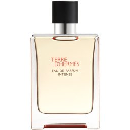 HERMÈS Terre d’Hermès EDP Intense apă parfumată intense M 100 ml
