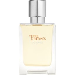 HERMÈS Terre d’Hermès Eau Givrée EDP reincarcabil M 50 ml
