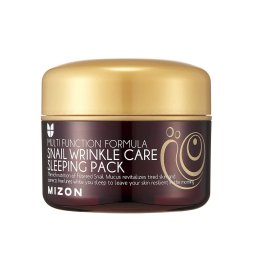 Mizon, Snail Wrinkle Care, Snail Mucus, Anti-Wrinkle, Night, Cream, For Face, 80 ml