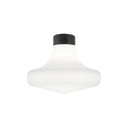 Ideal Lux - Plafonieră de exterior CLIO 1xE27/42W/230V IP44 neagră