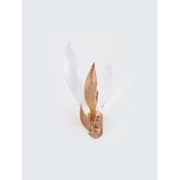 Aplica DANDELION CYPSELA TRIO AP1526/3