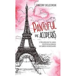 Pantoful pe acoperis - Vincent Delecroix