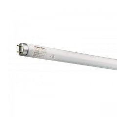 Tub Neon Sylvania T8 F36W/865