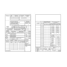 Foaie parcurs marfa, format A4, 100 coli/carnet