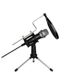 Microfon Profesional de inregistrare vocala si Karaoke pentru Studio WG 500II