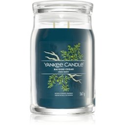 Yankee Candle Bayside Cedar lumânare parfumată Signature 567 g