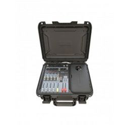 DSE M210P - mixer amplificat cu 2 microfoane wireless