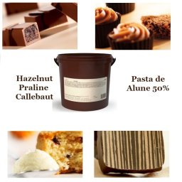 Pasta de Alune 50%, Hazelnut Praline, Callebaut, 5 Kg