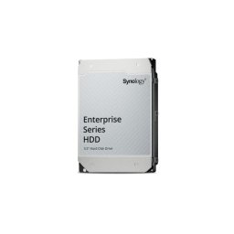 Synology Enterprise hard disk-uri interne 20 TB 7200 RPM 512 Mega bites 3.5" ATA III Serial