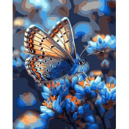 Set pictura pe numere, cu sasiu, Fluture si flori albastre, 40x50 cm