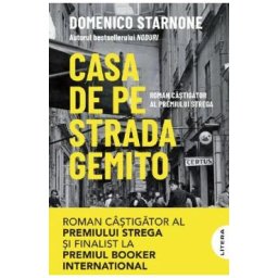 Casa de pe strada Gemito - Domenico Starnone