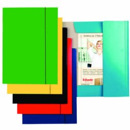 Mapa din carton plastifiat cu elastic, ESSELTE Economy - verde