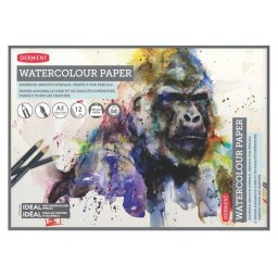 Articole pentru scoala Caiet pentru desen pe baza de apa DERWENT Proffesional, A3, 12 coli, 300 gsm, hartie alba