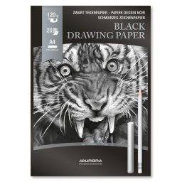 Articole pentru scoala Bloc desen A4, 20 file - 120g/mp, AURORA Raphael - hartie neagra