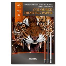 Articole pentru scoala Bloc desen A4, 20 file - 120g/mp, AURORA Raphael - hartie 10 culori asortate