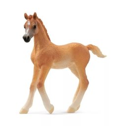 Schleich Horse Club: figurină mânz arab 13984