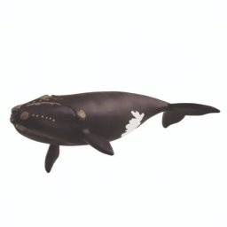 Schleich: Balena neagră din Atlanticul de Nord - figurină 14878