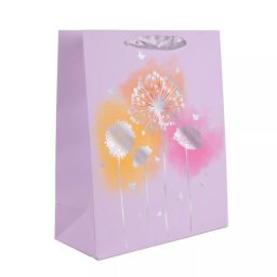 Pungă cadou cu hologramă - 18 x 23 cm