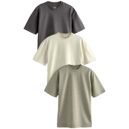 Next Tricou ecru / gri închis / verde pastel