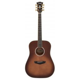 DAngelico Excel Lexington Autumn Burst