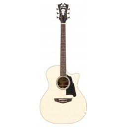 DAngelico Premier Gramercy Gloss White Wash