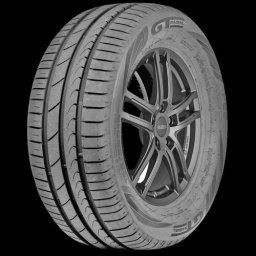 GT Radial 195/55 R16 Champiro FE2 91V XL