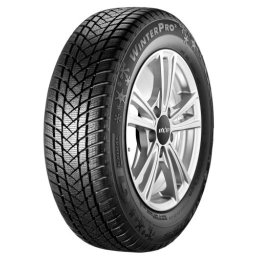 GT Radial 205/55 R17 WinterPro2 95H XL