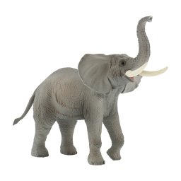 Elefant African