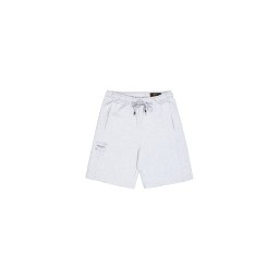 ALPHA INDUSTRIES Pantaloni sport gri