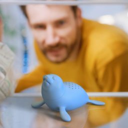 Dezodorizant pentru Frigider – Focă