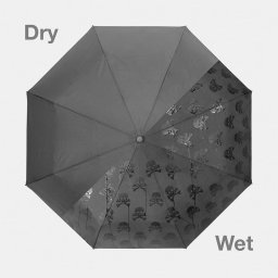 Umbrelă de Bărbat - Cranii