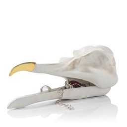 Cutie Bijuterii - Craniu de Pasăre