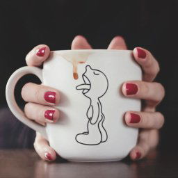 Cana de Cafea - Mr P Lick