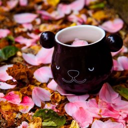 Cana Termosensibila - Panda (430ml.)