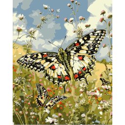 Set pictura pe numere, cu sasiu, Fluture Proserpine, 40x50 cm