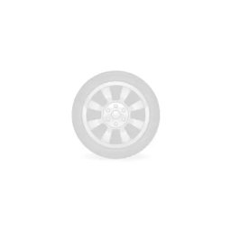 Anvelopa 205/55 R16 91W RPB ADVAN SPORT V103 Z.P.S.