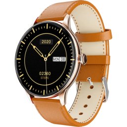 Smartwatch FW48 Vanad Gold