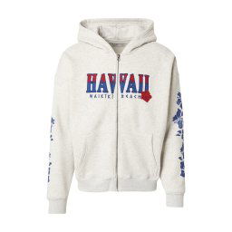 HOLLISTER Hanorac albastru / gri / roșu