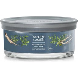 Yankee Candle Signature 5-Wick Tumbler Bayside Cedar 340 g