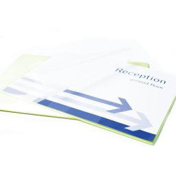 Folie de laminat Fellowes 5302202 lamination film A4 100 pc(s)