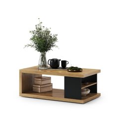 Masă de cafea LORA 110x60 cm cu poliță și spațiu de depozitare, stejar artisan/negru