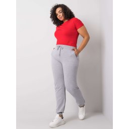 Sweatpants-RV-DR-6301.88-gray