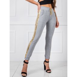Sweatpants-RV-DR-5408.28P-gray