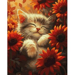 Set pictura pe numere, cu sasiu, Pisica si raza de soare, 40x50 cm
