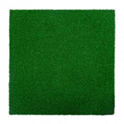 Covor de protectie inSPORTline Grasteko 50 x 50 x 2 cm