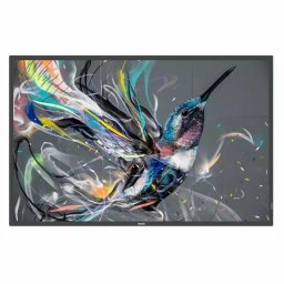 Philips LCD-Display 75BDL3511Q - 190 cm (75") - 3840 x 2160 4K UHD